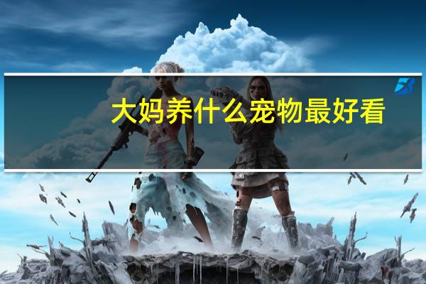 大妈养什么宠物最好看
