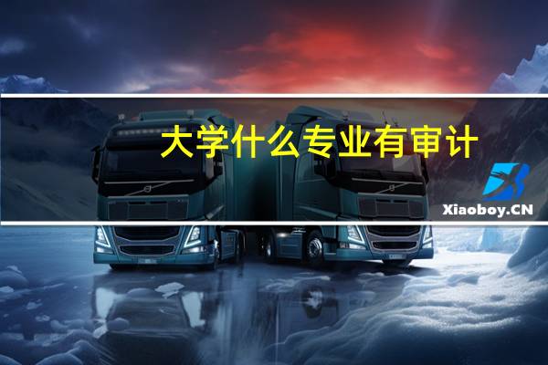 大学什么专业有审计