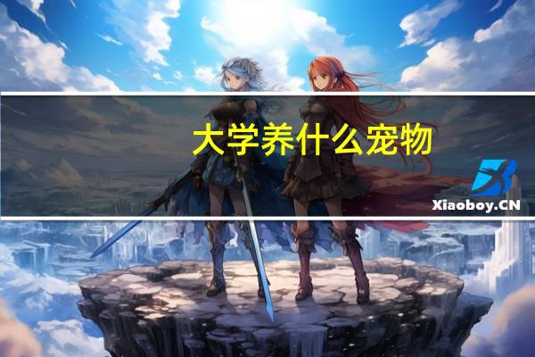 大学养什么宠物