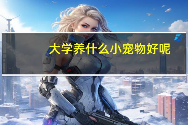 大学养什么小宠物好呢