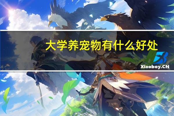 大学养宠物有什么好处