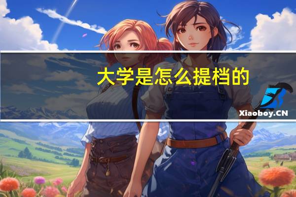 大学是怎么提档的