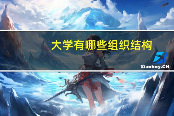 大学有哪些组织结构