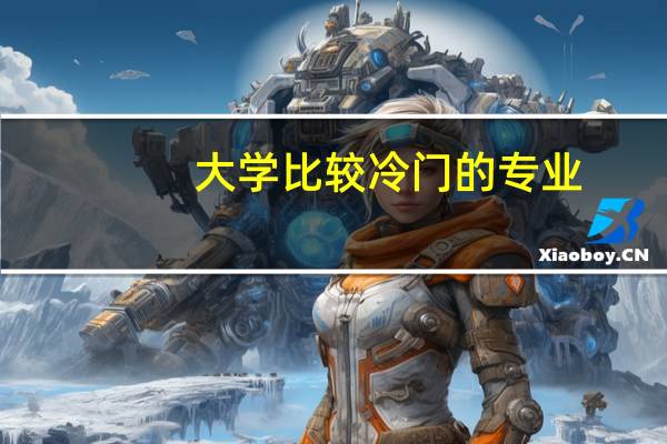 大学比较冷门的专业
