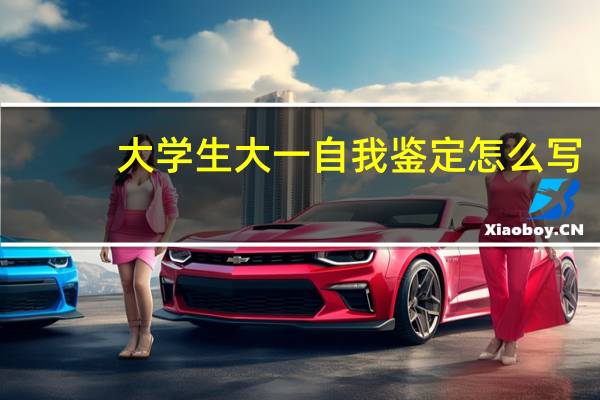 大学生大一自我鉴定怎么写