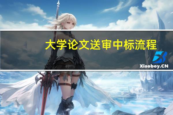大学论文送审中标流程