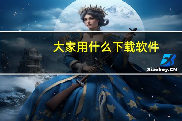 大家用什么下载软件