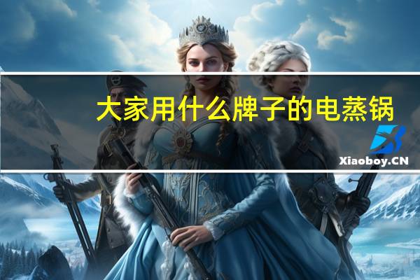 大家用什么牌子的电蒸锅