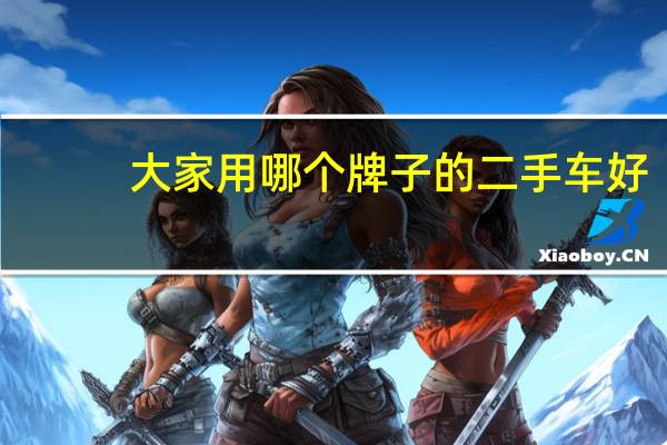 大家用哪个牌子的二手车好