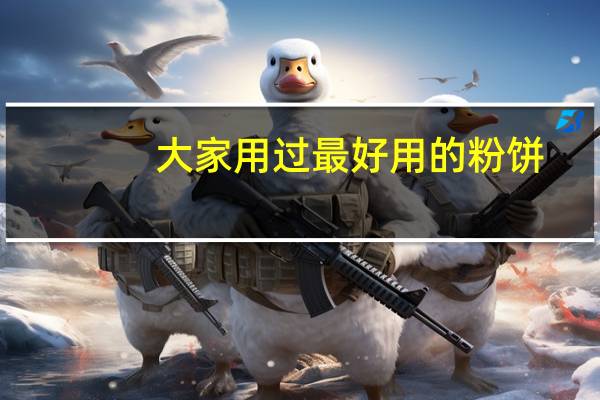 大家用过最好用的粉饼