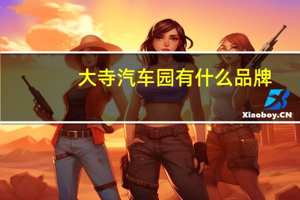 大寺汽车园有什么品牌