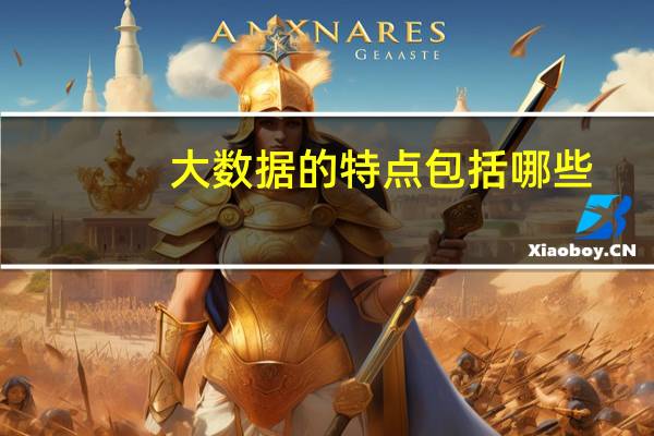 大数据的特点包括哪些