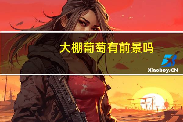 大棚葡萄有前景吗