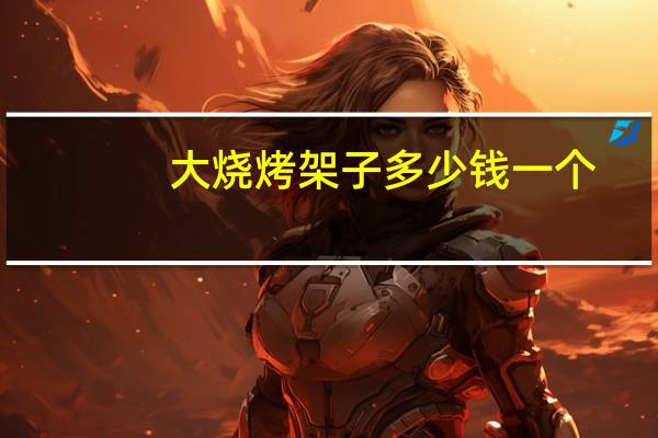 大烧烤架子多少钱一个
