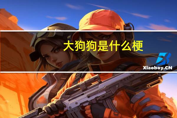 大狗狗是什么梗