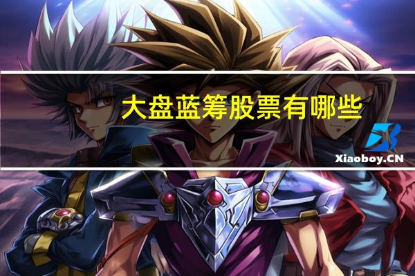 大盘蓝筹股票有哪些