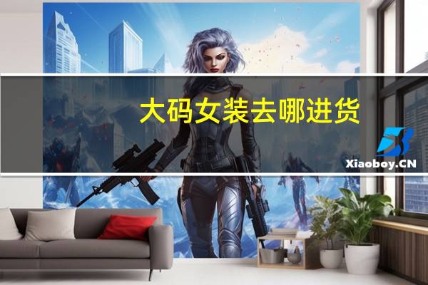 大码女装去哪进货