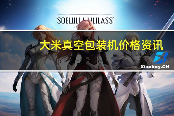 大米真空包装机价格资讯