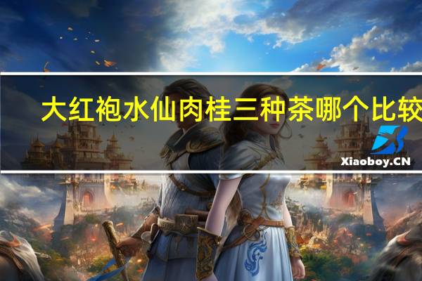 大红袍水仙肉桂三种茶哪个比较好
