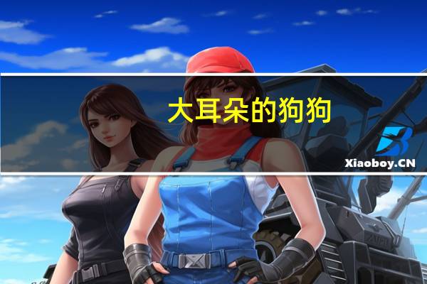 大耳朵的狗狗