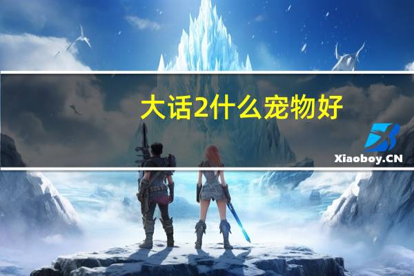 大话2什么宠物好