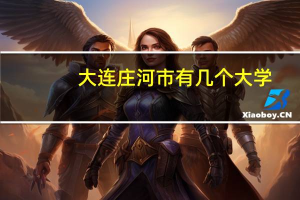 大连庄河市有几个大学 庄河市有什么大学