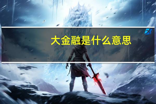 大金融是什么意思
