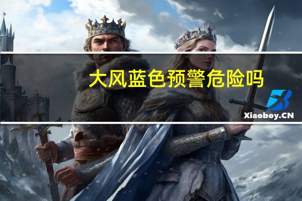 大风蓝色预警危险吗