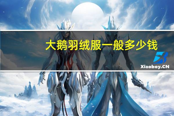 大鹅羽绒服一般多少钱