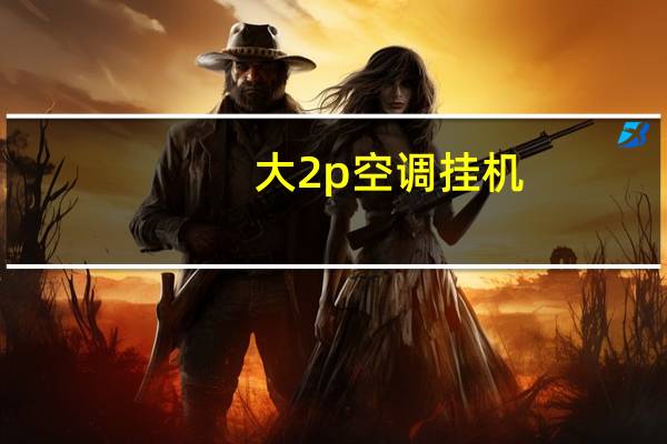 大2p空调挂机