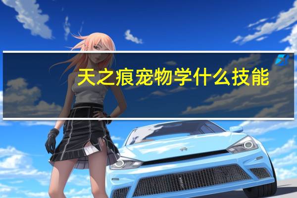 天之痕宠物学什么技能