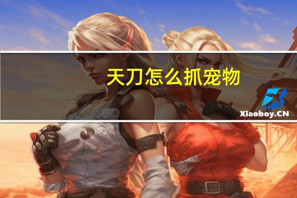 天刀怎么抓宠物