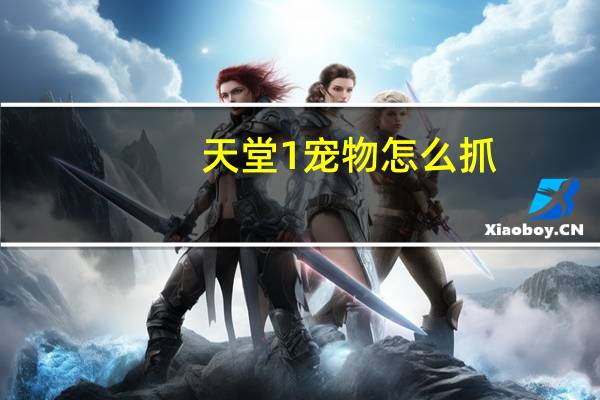 天堂1宠物怎么抓