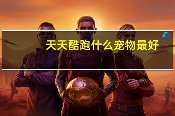天天酷跑什么宠物最好