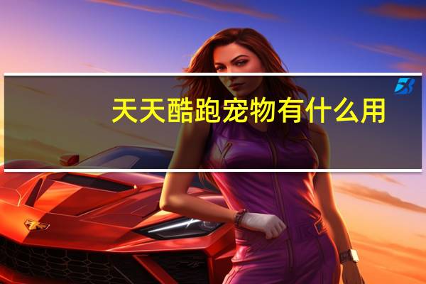 天天酷跑宠物有什么用