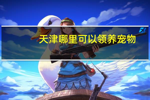 天津哪里可以领养宠物