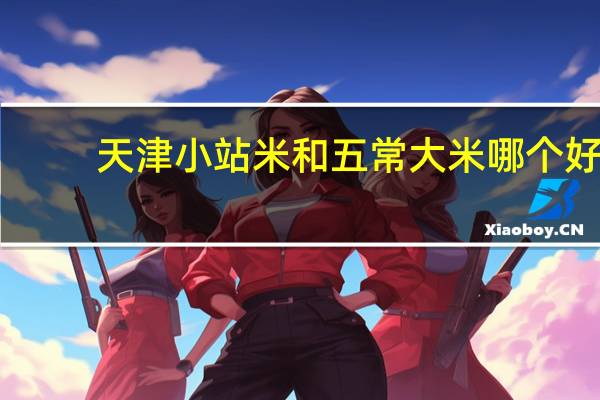 天津小站米和五常大米哪个好
