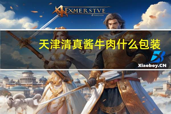 天津清真酱牛肉什么包装