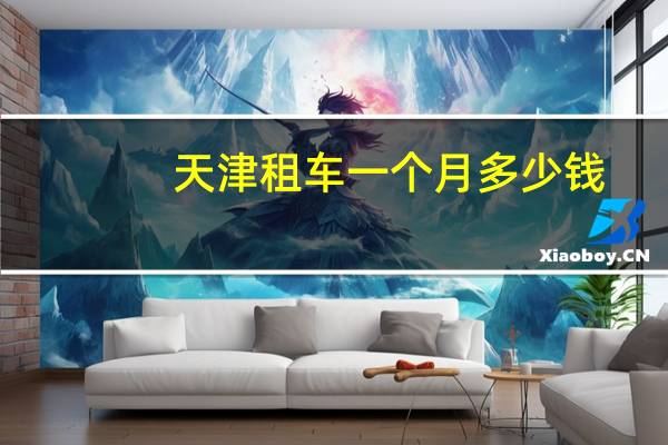 天津租车一个月多少钱