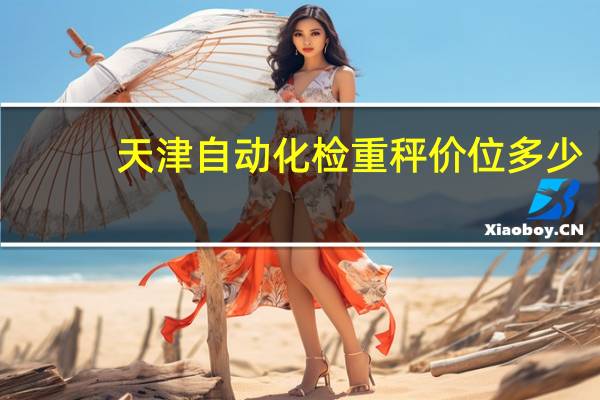 天津自动化检重秤价位多少