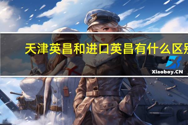 天津英昌和进口英昌有什么区别