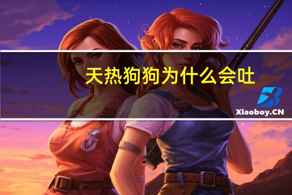 天热狗狗为什么会吐