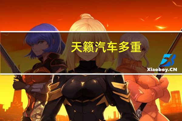 天籁汽车多重