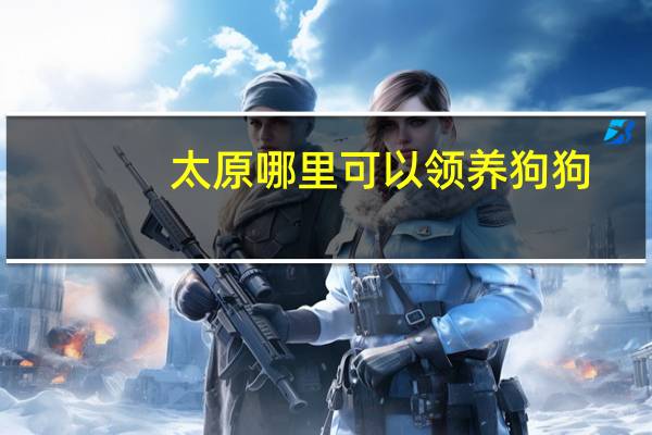 太原哪里可以领养狗狗