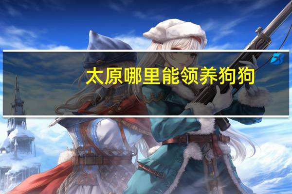 太原哪里能领养狗狗
