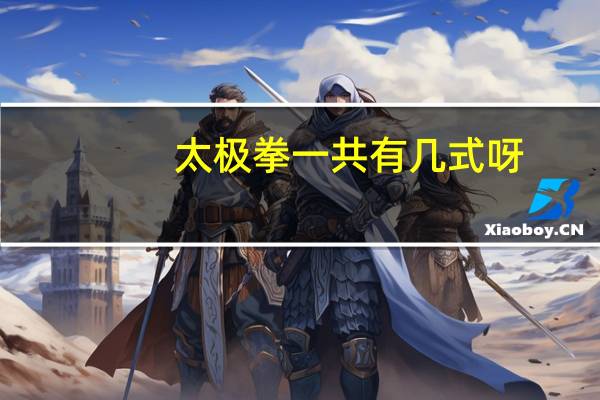 太极拳一共有几式呀