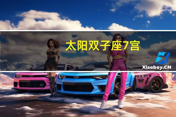 太阳双子座7宫