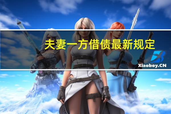 夫妻一方借债最新规定