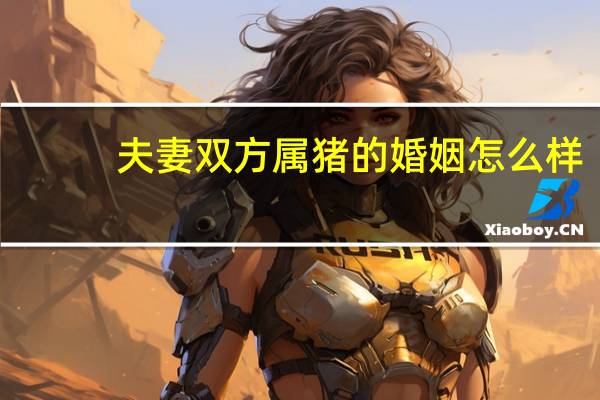 夫妻双方属猪的婚姻怎么样