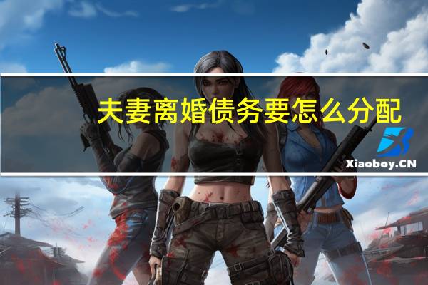 夫妻离婚债务要怎么分配